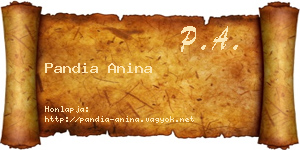 Pandia Anina névjegykártya